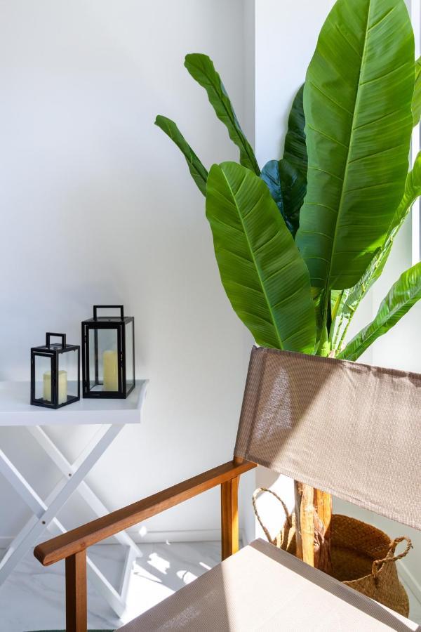 Central Sunny Perch 2 Bed 1 Bath Apartment Christchurch Ngoại thất bức ảnh
